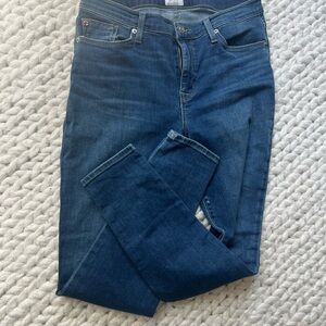 Hudson Jeans Blue Skinny Denim